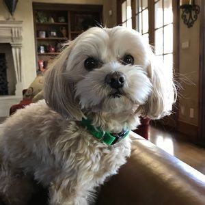 Meet your Posher, Eileen